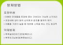 배추 주요 병해 진단 및 처방 31페이지