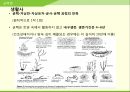 해충학 식물병리학 식물병진단학> 수박 주요 병해 진단 및 처방 39페이지