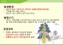 해충학 식물병리학 식물병진단학> 수박 주요 병해 진단 및 처방 40페이지