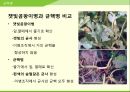 해충학 식물병리학 식물병진단학> 수박 주요 병해 진단 및 처방 42페이지