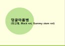 해충학 식물병리학 식물병진단학> 수박 주요 병해 진단 및 처방 59페이지
