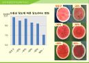 해충학 식물병리학 식물병진단학> 수박 주요 병해 진단 및 처방 76페이지