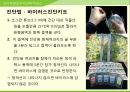해충학 식물병리학 식물병진단학> 수박 주요 병해 진단 및 처방 78페이지