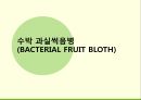 해충학 식물병리학 식물병진단학> 수박 주요 병해 진단 및 처방 79페이지