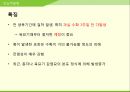 해충학 식물병리학 식물병진단학> 수박 주요 병해 진단 및 처방 81페이지