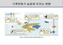 해충학 식물병리학 식물병진단학> 오이 주요 병해 진단 및 처방 8페이지
