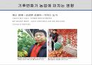 해충학 식물병리학 식물병진단학> 오이 주요 병해 진단 및 처방 10페이지