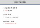 해충학 식물병리학 식물병진단학> 오이 주요 병해 진단 및 처방 11페이지