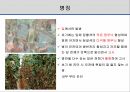 해충학 식물병리학 식물병진단학> 오이 주요 병해 진단 및 처방 15페이지