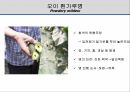 해충학 식물병리학 식물병진단학> 오이 주요 병해 진단 및 처방 23페이지