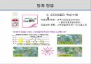 해충학 식물병리학 식물병진단학> 오이 주요 병해 진단 및 처방 31페이지