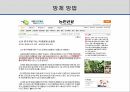해충학 식물병리학 식물병진단학> 오이 주요 병해 진단 및 처방 32페이지