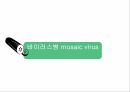 해충학 식물병리학 식물병진단학> 오이 주요 병해 진단 및 처방 69페이지