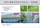 해충학 식물병리학 식물병진단학> 오이 주요 병해 진단 및 처방 77페이지