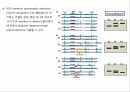 원예작물분자육종학> 분자표지 개발방법 10페이지