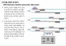 원예작물분자육종학> 분자표지 개발방법 11페이지