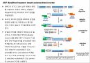 원예작물분자육종학> 분자표지 개발방법 13페이지