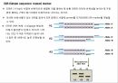 원예작물분자육종학> 분자표지 개발방법 15페이지