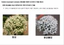 원예작물분자육종학> 분자표지 개발방법 32페이지