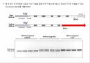 원예작물분자육종학> 분자표지 개발방법 54페이지
