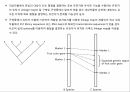원예작물분자육종학> 분자표지 개발방법 56페이지