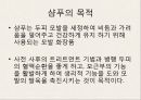 샴푸 드라이 스타일링에 대하여 5페이지