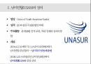 남미연합(USAN)의 정의 남미 공동시장 3페이지