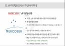 남미연합(USAN)의 정의 남미 공동시장 6페이지