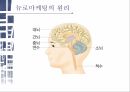 뉴로마케팅이란 뇌과학 뉴로마케팅의 원리 뇌의 구조 7페이지