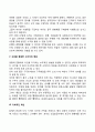 [경험경제재] 경험재 도입전략의 원칙 4페이지