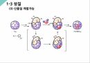 나노재료소재 풀러렌 발표자료 13페이지