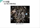 나노재료소재 풀러렌 발표자료 15페이지