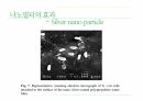 나노필터(나노설계발표자료) 17페이지