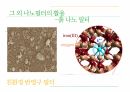 나노필터(나노설계발표자료) 24페이지