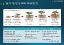 국내감자재배방법과 현황(ppt) 2페이지