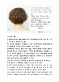드라이 볼륨  퍼머넌트 웨이브 25페이지