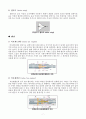 과학탐구대회 최우수상, 각종 사고사례를 분석 및 대책 마련, 항공기 엔진, 날개, 연료 비교 및 분석자료, 신소재와 IoT, 초전도체 등을 항공기에 접목, 친환경적인 항공기 구상과 원리 등 이를 종합하여 항공기를  7페이지