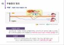 우울증에 대하여 3페이지
