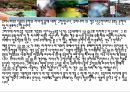일본온천 온천이란 온천유래와 기원 문화와 차이 ppt 6페이지