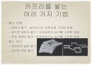 자연미 조형미 ppt 13페이지