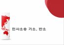 중국법의 이해 발표 ppt 19페이지