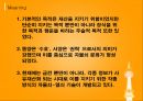 지문인식장치,비밀번호 자물쇠,동양의 전통 자물쇠,서양의 전통 자물쇠 16페이지