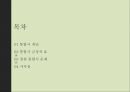 지방자치론 창원 통합시 문제점 ppt 2페이지