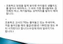 직업발표 초등학교 교사 ppt 7페이지