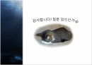 청소년 성범죄,청소년 성범죄란,청소년 성범죄 현황,공소 시효 폐지,전자 발찌,알림e 시스템 13페이지