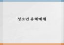 청소년 유해매체,유해매체의 정의,유해매체의 분류,정보 체계의 비교 1페이지