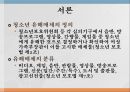 청소년 유해매체,유해매체의 정의,유해매체의 분류,정보 체계의 비교 2페이지