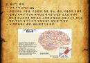 치매 ,섬망, 기억인지장애, 기질성 정신장애란, 감염물질설, 유전적 요인, 대사장애, 알츠하이머형 치매, 혈관성 치매, 파킨슨 치매 10페이지
