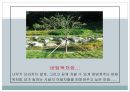 케어기술, 식사케어의 기본, 식사케어의 유의점, 배설케어의 기본, 청결케어의 기본 11페이지