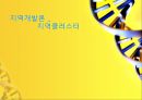 클러스터의 개념, 클러스터의 의의, 클러스터란, 산업클러스터 정책, 산업클러스터 결정 요인 1페이지